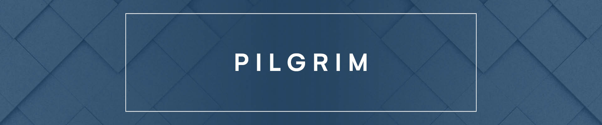 Pilgrim_Metroopl